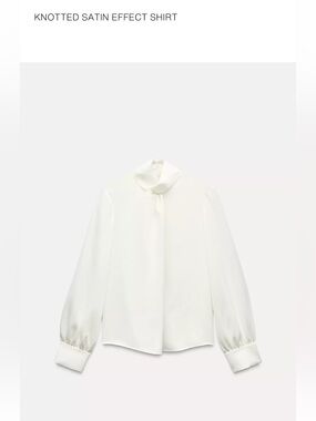 NWT Zara Oyster Colored Long Sleeve Blouse Size Large.